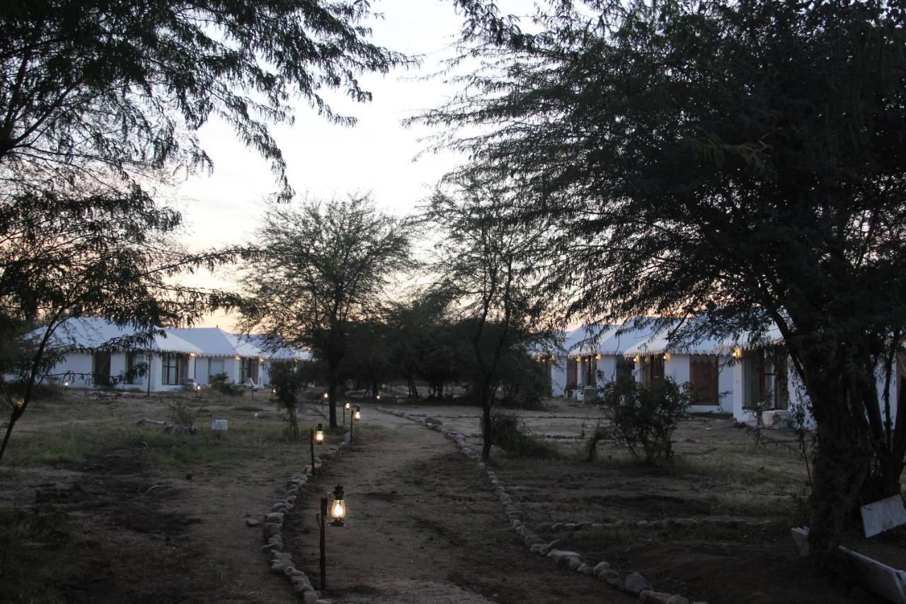 Bera Chandraprabha Resort - Jawai מראה חיצוני תמונה